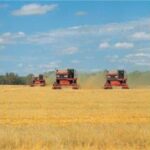 Import AGRICULTURAL ACCESSORIES from chinese wholesale supplier and manufacturer