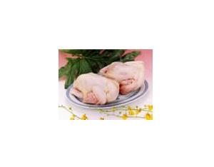 Import Agricultural Machinery from chinese wholesale supplier and manufacturer