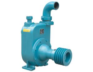 Import agricultural spray pump-80BPZ-65 from chinese wholesale supplier and manufacturer