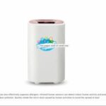 Import Air purifier Air anion convalescent machine from chinese wholesale supplier and manufacturer