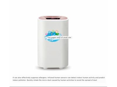 Import Air purifier Air anion convalescent machine from chinese wholesale supplier and manufacturer