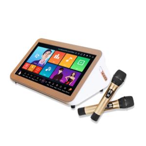 Import All-in-one karaoke machine from chinese wholesale supplier and manufacturer