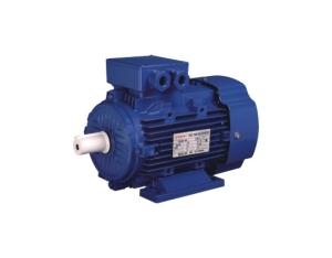 Import Aluminum shell of three-phase asynchronous motor from chinese wholesale supplier and manufacturer