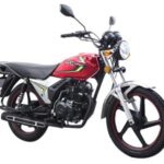 Import AMAZING 150 (LF150-2C(IV)) LIFAN Street Bike from chinese wholesale supplier and manufacturer
