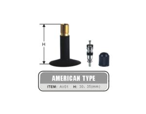 Import AMERICAN TYPE-01 from chinese wholesale supplier and manufacturer