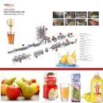 Import Apple & Pear Processing Line from chinese wholesale supplier and manufacturer