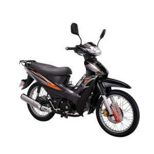 Import ARES 110 (LIFAN Cub Motorcycle) from chinese wholesale supplier and manufacturer