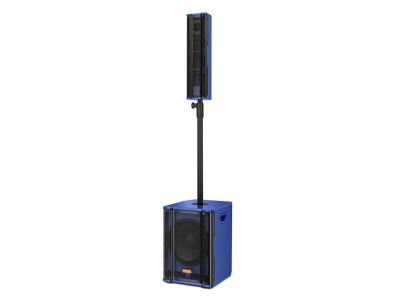 Import Array Speaker PS-1234-2 from chinese wholesale supplier and manufacturer