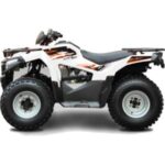 Import ATV from chinese wholesale supplier and manufacturer