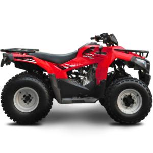 Import ATV from chinese wholesale supplier and manufacturer