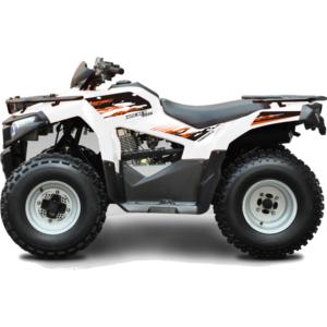 Import ATV from chinese wholesale supplier and manufacturer