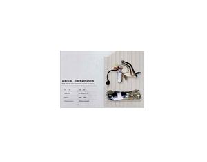 Import Auto Bearing from chinese wholesale supplier and manufacturer