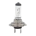 Import auto halogen bulb from chinese wholesale supplier and manufacturer