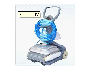 Import Automatic swmming pool cleaner Ruby from chinese wholesale supplier and manufacturer