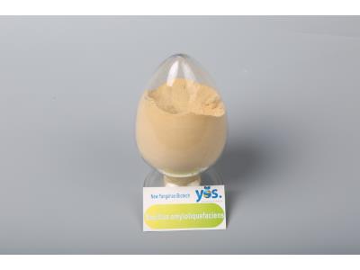 Import Bacillus amyloliquefaciens(Agriculture) from chinese wholesale supplier and manufacturer