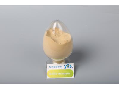 Import Bacillus Laterosporus(Agriculture) from chinese wholesale supplier and manufacturer