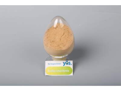 Import Bacillus licheniformis(Agriculture) from chinese wholesale supplier and manufacturer