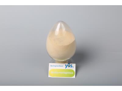 Import Bacillus mucilaginosus(Agriculture) from chinese wholesale supplier and manufacturer