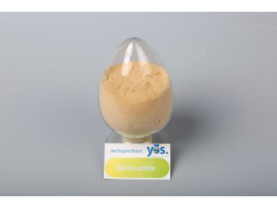 Import Bacillus subtilis(Agriculture) from chinese wholesale supplier and manufacturer