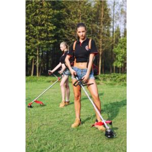 Import Backpack brush cutter from chinese wholesale supplier and manufacturer