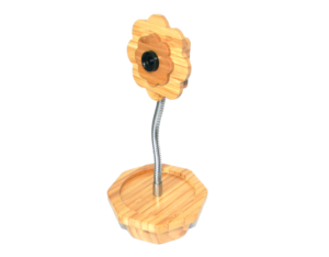 Import Bamboo camera from chinese wholesale supplier and manufacturer