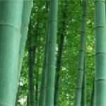 Import Bamboo keyboard, bamboo mouse from chinese wholesale supplier and manufacturer