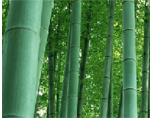 Import Bamboo keyboard, bamboo mouse from chinese wholesale supplier and manufacturer