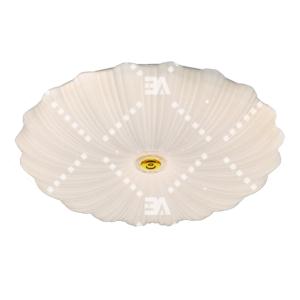 Import BAOPASS Emergency LED Ceiling Lights from chinese wholesale supplier and manufacturer