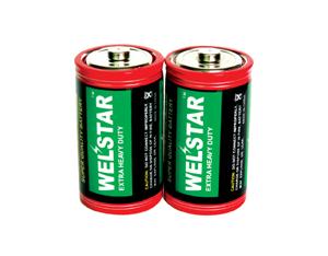 Import Battery WS101-2S from chinese wholesale supplier and manufacturer