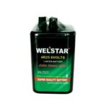 Import Battery WS600-1S from chinese wholesale supplier and manufacturer