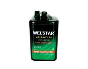 Import Battery WS600-1S from chinese wholesale supplier and manufacturer