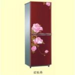 Import BCD-198K Refrigerator from chinese wholesale supplier and manufacturer