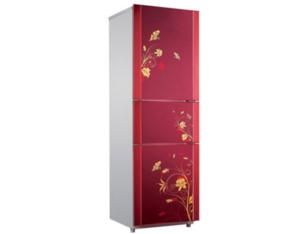 Import BCD-219SC Refrigerator from chinese wholesale supplier and manufacturer