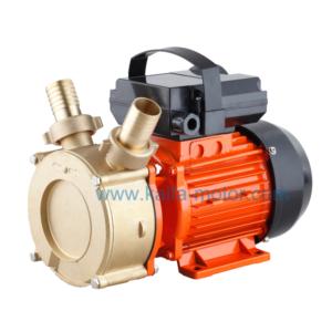 Import BE series fuel pump from chinese wholesale supplier and manufacturer