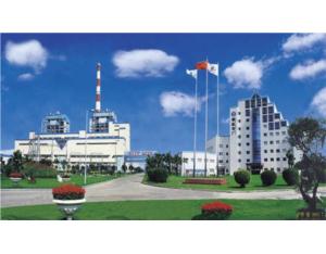 Import BEH Model ESP from chinese wholesale supplier and manufacturer