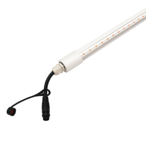 Import Bendable T8 Waterproof LED Tube Light Linkable LED waterproof Tube IP65 RGB LED Tube with End Cap from chinese wholesale supplier and manufacturer