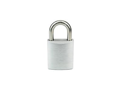 Import best smart padlock from chinese wholesale supplier and manufacturer
