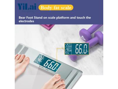 Import BF801-SL2 from chinese wholesale supplier and manufacturer