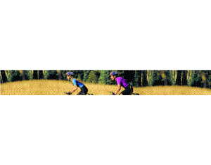Import bicycle from chinese wholesale supplier and manufacturer