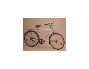 Import Bicycle from chinese wholesale supplier and manufacturer
