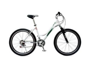 Import bicycle 2600109A from chinese wholesale supplier and manufacturer