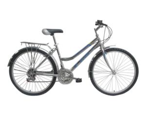 Import bicycle 2600205S from chinese wholesale supplier and manufacturer