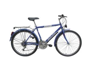 Import bicycle 2600207S from chinese wholesale supplier and manufacturer