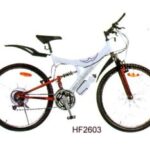 Import bicycle KU87 from chinese wholesale supplier and manufacturer