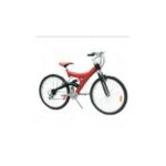 Import bicycle PE26-1 from chinese wholesale supplier and manufacturer