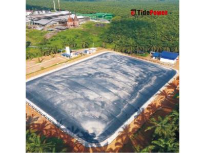 Import Biogas Power Plant BOT Project from chinese wholesale supplier and manufacturer