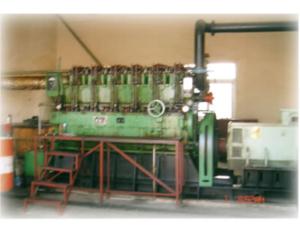 Import Biomass gas generator set from chinese wholesale supplier and manufacturer