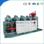 Import Bitzer Condensing Unit from chinese wholesale supplier and manufacturer