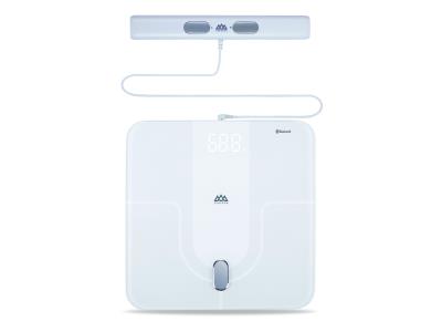 Import Bluetooth Body Fat Scale / IF2802A from chinese wholesale supplier and manufacturer