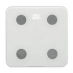 Import bluetooth bodyfat scale JY-430BT from chinese wholesale supplier and manufacturer